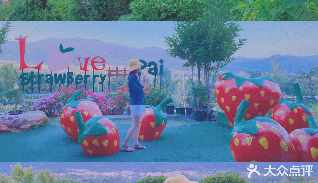 在清迈拜县，只想静静做个美旅子～
