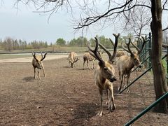 -溱湖国家湿地公园