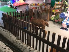 -开元商城(西旺店)
