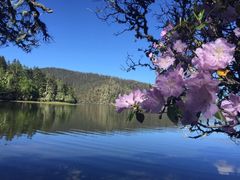 -星巴克(万都店)