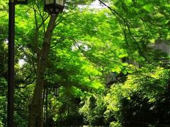 -铁路文化公园