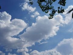 -北京全聚德(天安门店)