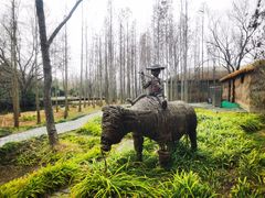 -溱湖国家湿地公园