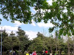 -长春公园(普阳街道)