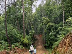 -青龙山国家森林公园