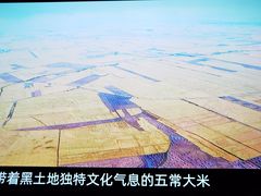 -农耕记·湖南土菜(halo广场店)