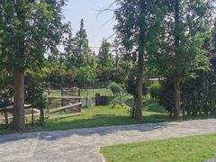 -前小桔亲子创意农场·草莓采摘·露营烧烤