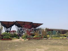 -上海长兴岛郊野公园