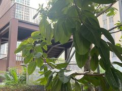 -blend咖啡部落(卓悦中心店)