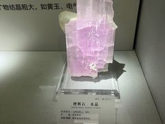 -湖南省地质博物馆