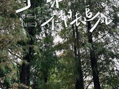 -东山湖公园