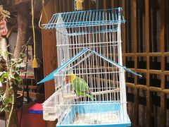 -唐师傅湘西名菜馆(武陵路店)