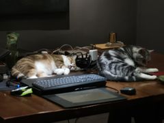 -咖法森林·咖啡  酒吧(天河店)