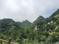 -大岭沟猕猴桃谷风景区