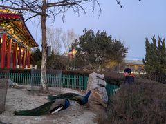 -有喜胶东小馆(超极合生汇太申祥和店)