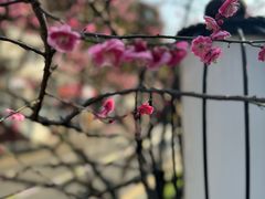 -南京书画院金陵美术馆