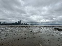 -深圳湾公园(南山区)