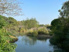 -梁鸿国家湿地公园