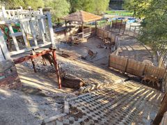 -北京鹿世界主题园