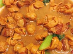 -东北王食府(科大店)
