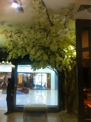 iphone_upload_pic-侨治发型