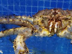 -前王院•巧克力海鲜市集餐厅(万平口店)