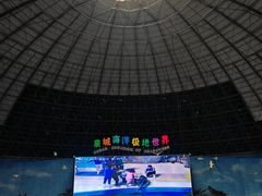 -泉城欧乐堡海洋极地世界
