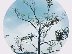 -江南大学(蠡湖校区)