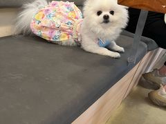 -小意思咖啡店(草桥店)