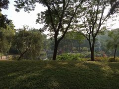 -晓港公园