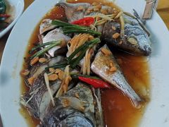 -海之鲜大排档(东山海鲜金銮湾店)