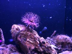 -欢乐海岸海洋奇梦馆