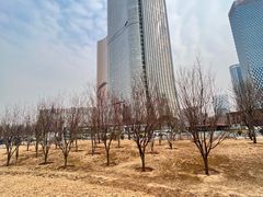-大望京公园