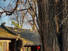 -潭柘寺景区