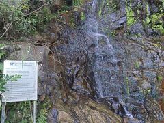 -太平山顶