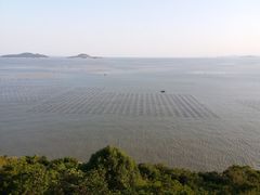 -北岐滩涂