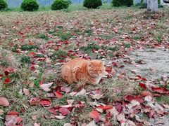 -华东政法大学(松江校区)