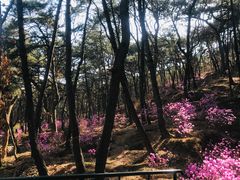-红螺寺