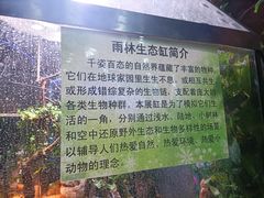 -上海大自然野生昆虫馆(东方明珠·爬宠昆虫探索中心)