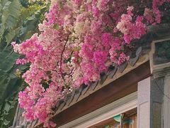 -深圳国际园林花卉博览园