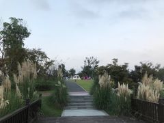 -九科绿洲