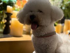 -Ameigo梅果·云贵川bistro(长宁来福士店)