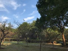 -范蠡湖公园