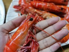 白灼九节虾-揭阳钟记小食(福田新村店)