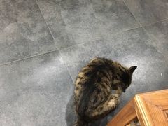 -随柳居·苏式小吃(建新巷店)