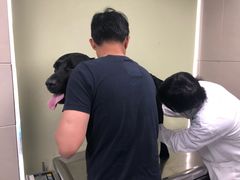 -申普宠物医院·心脏介入·心血管微创(总院)