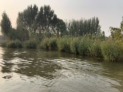 -白洋淀景区