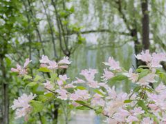 -朝阳公园