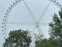 -祥源·阜阳生态乐园