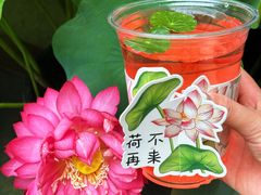 -花之城